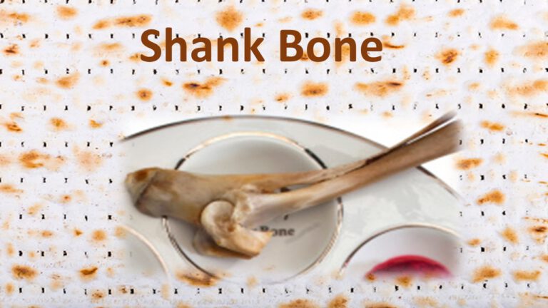 Shank In English Shank Bone | lol english